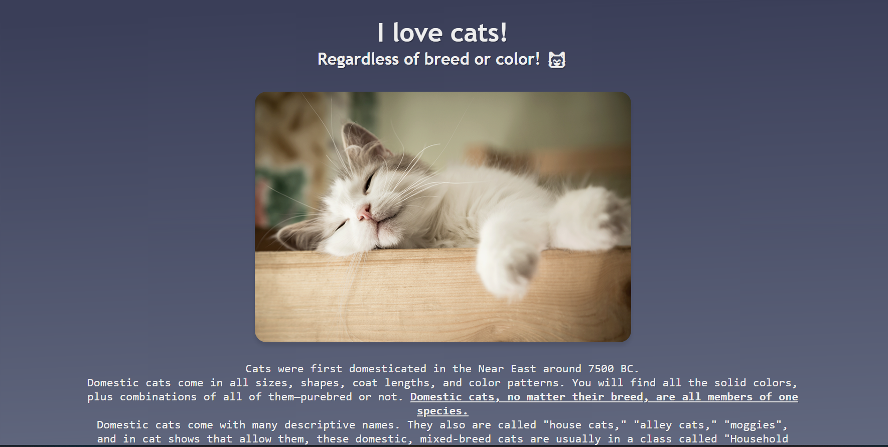 Cat Project Preview